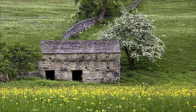 Another Dales Barn