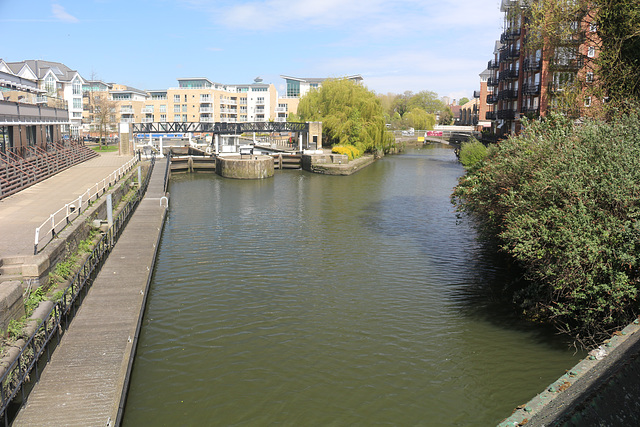 The Thames Path - Teddington to Kew Bridge, north bank