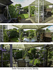 Triptych of garden panoramas