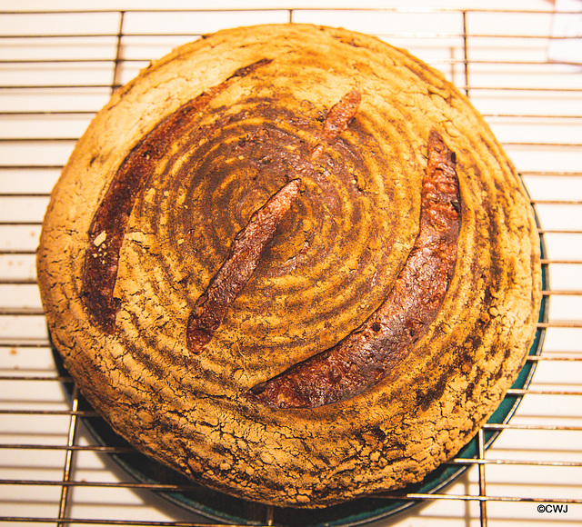 Wheat Oats and Rye Multi-seeded Sourdough