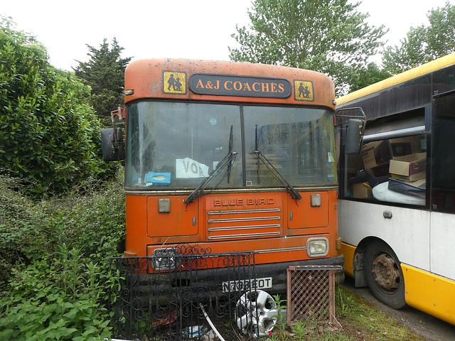 A & J Coaches, Ely N733 EOT - 15 May 2022 (P1110681)