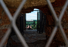 auf dem Glockenturm der Universitätskirche Vilnius (© Buelipix)