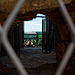 auf dem Glockenturm der Universitätskirche Vilnius (© Buelipix)