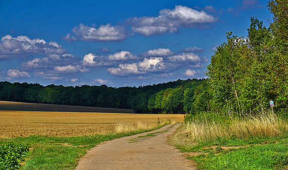 Letzte Sommertage - Last Summer Days