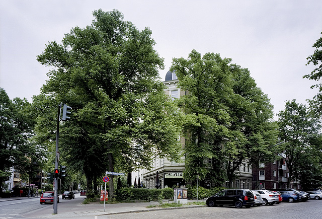 06-strassenecke-19-05-2018-2 PNG