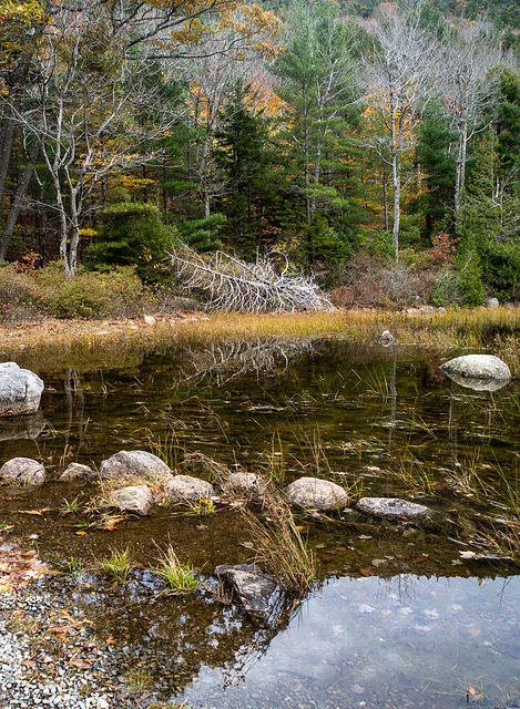 Eagle Lake