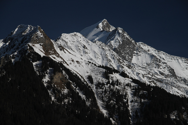 neige, sapins et arêtes