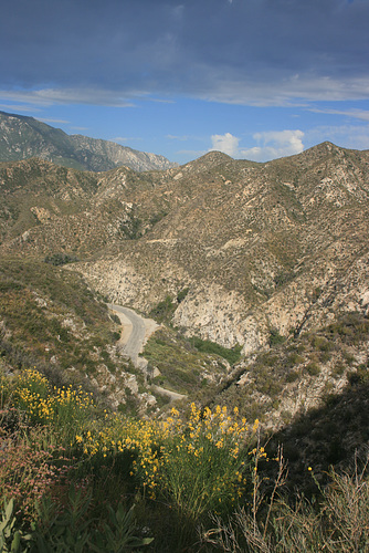 IMG 0756