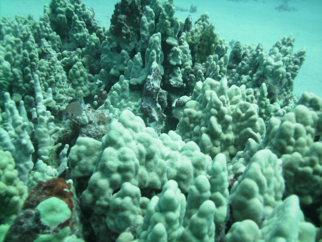 PICT0380.JPG