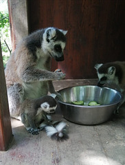 Une famille !