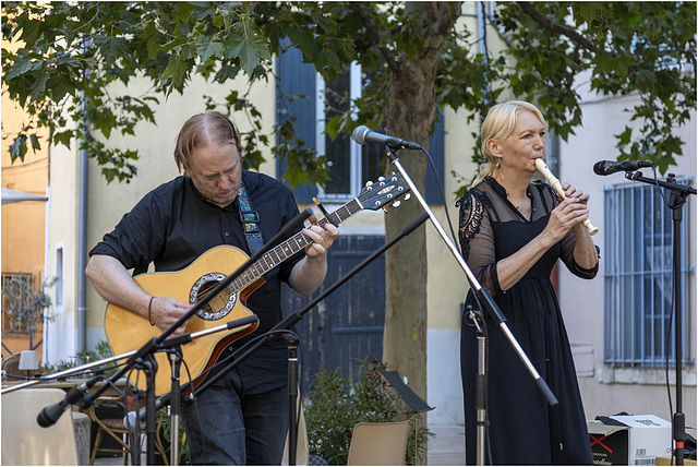 Quelques musiciens lors de la Fête de la Musique - Einige Musiker beim Musikfest - Some of the musicians at the music festival