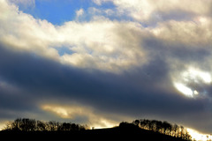 Sky,Trees and Hill 1