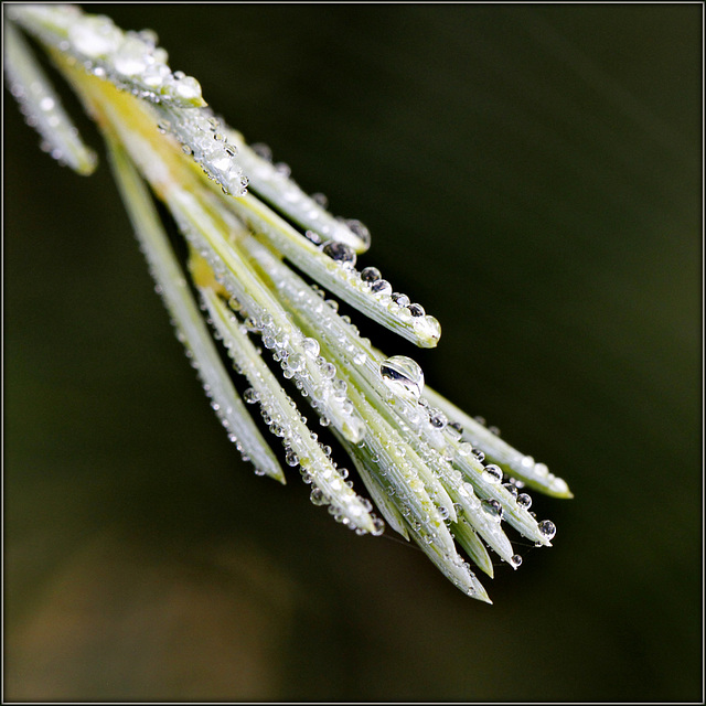 Enfiler les perles