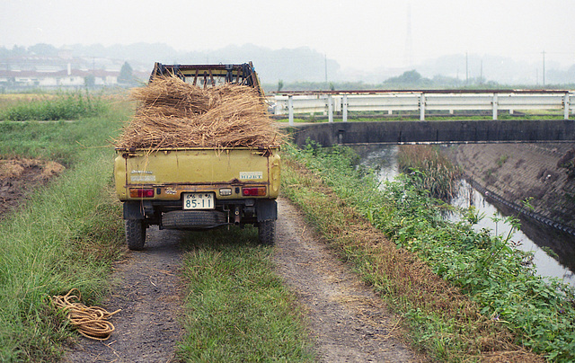 Truck full of rice stalks