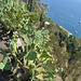 Taormina Cape from Viewpoint at Piazza 9 Aprile