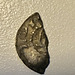 Another broken coin