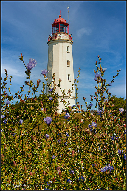 Hiddensee Leuchtturm Dornbusch (PiP)