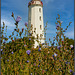 Hiddensee Leuchtturm Dornbusch (PiP)
