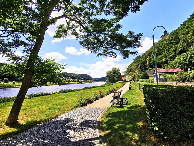 Elbtal bei Stadt Wehlen