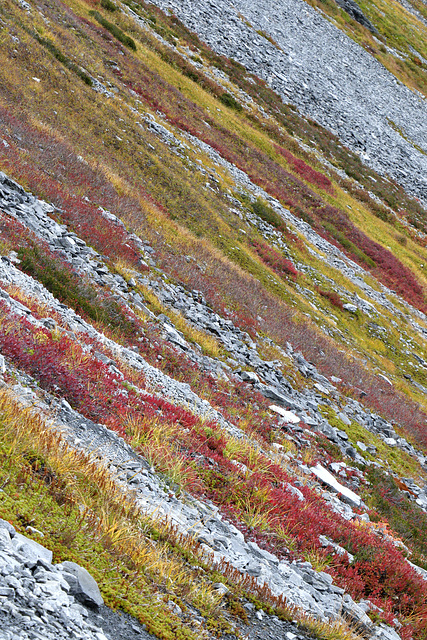 Autumn Colors