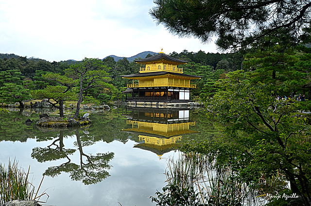 Kinkaku-ji  (金閣寺) Templo del Pabellón de Oro