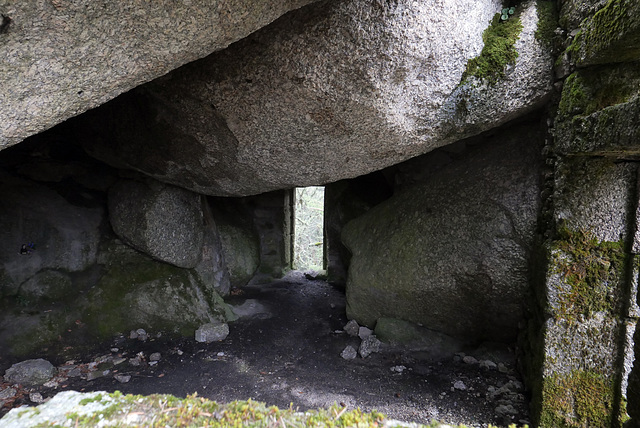 Serra da Estrela, Penhas Douradas L1000414