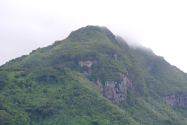 Polynésie Française, The Huahine Atoll, Cliffs of Mt.Turi (669m)