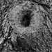 L'oeil du cyclope ?