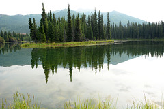 Alaska, Reflection in the Horseshoe Lake