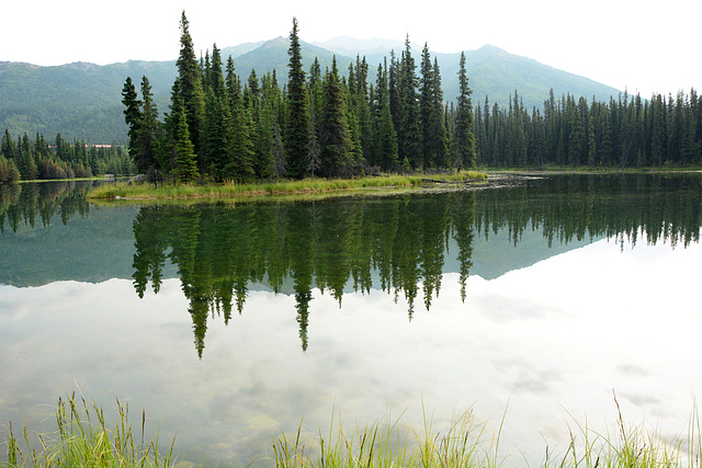 Alaska, Reflection in the Horseshoe Lake