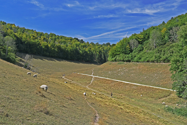 Arundel Park Dry Valley