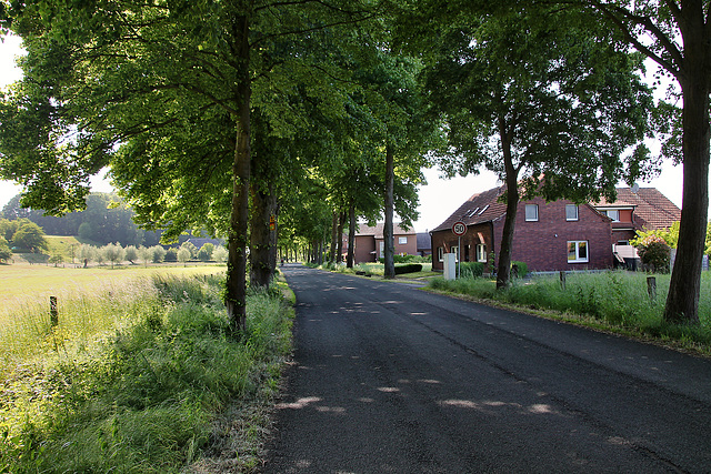 Gahlener Straße (Dorsten) / 27.05.2023