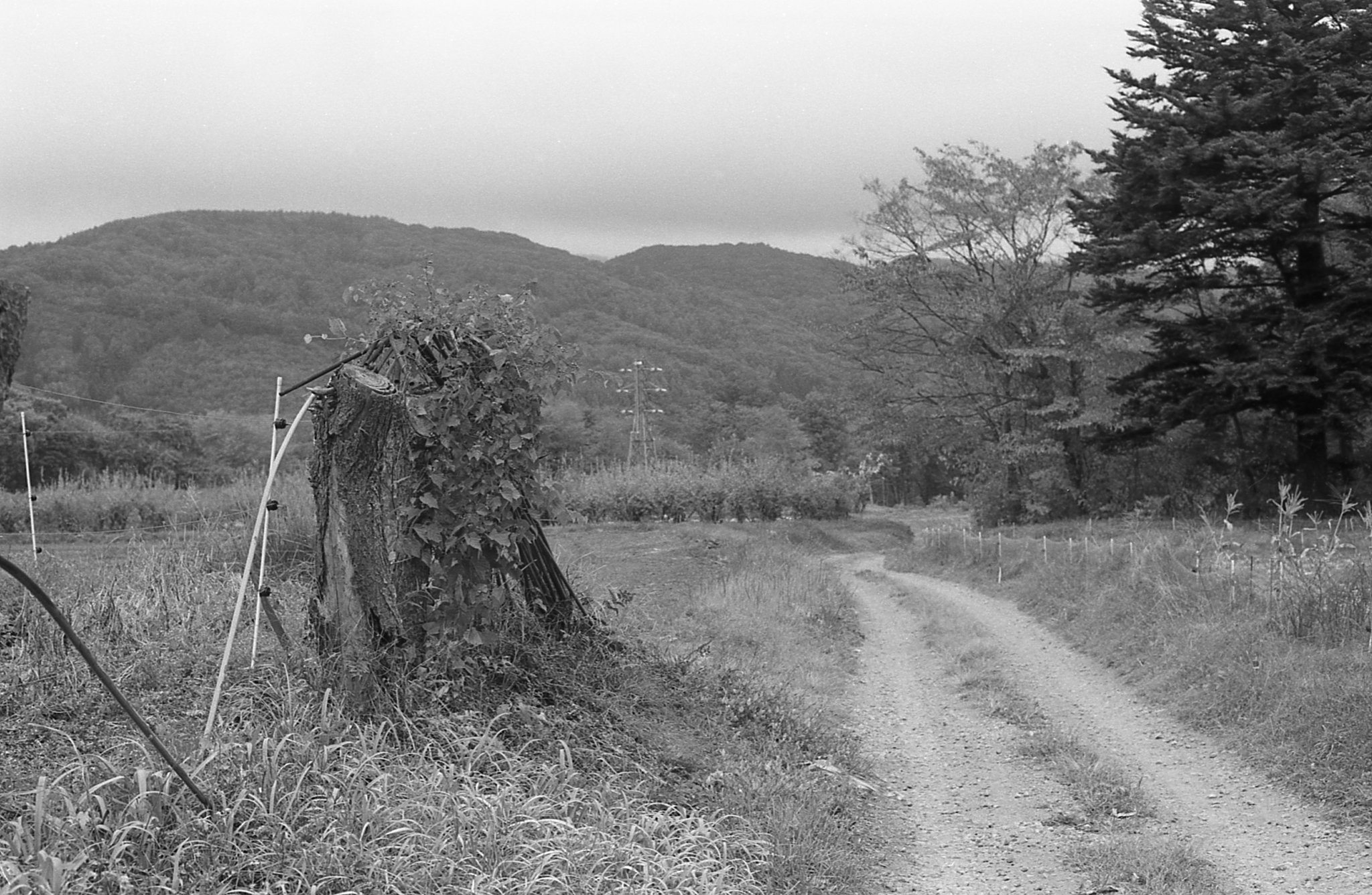 Dead end trail