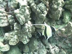 PICT0377.JPG
