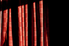 Red Curtains