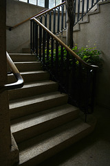 The Longwood Staircase