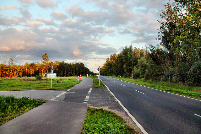 Nordrandweg (Elsdorf) / 26.08.2023