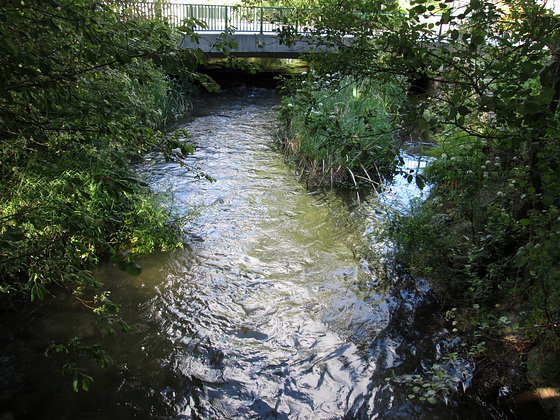River Pelhe. River Pelhe.