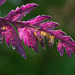 Colour And Texture