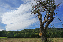 Herbstbeginn - Autumn’s first breath