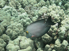 PICT0375.JPG