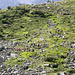 Pian del Re, Crissuolo - Cuneo