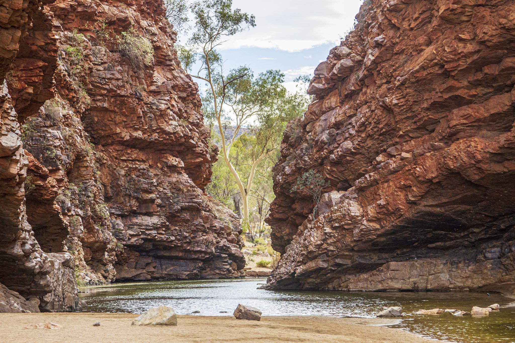 Simpsons gap