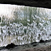 newstead abbey, notts , room behind the c19 waterfall