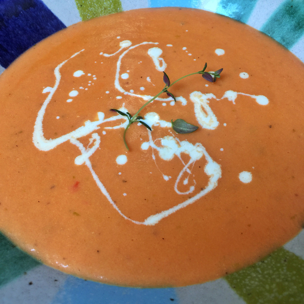 hot cream of tomato soup