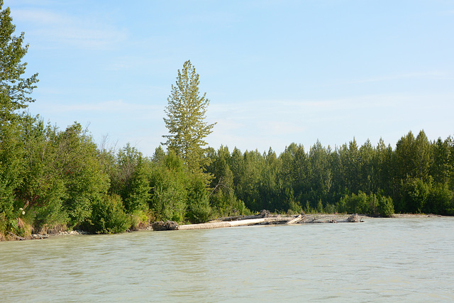 Alaska, Right Bank of the Talkeetna River