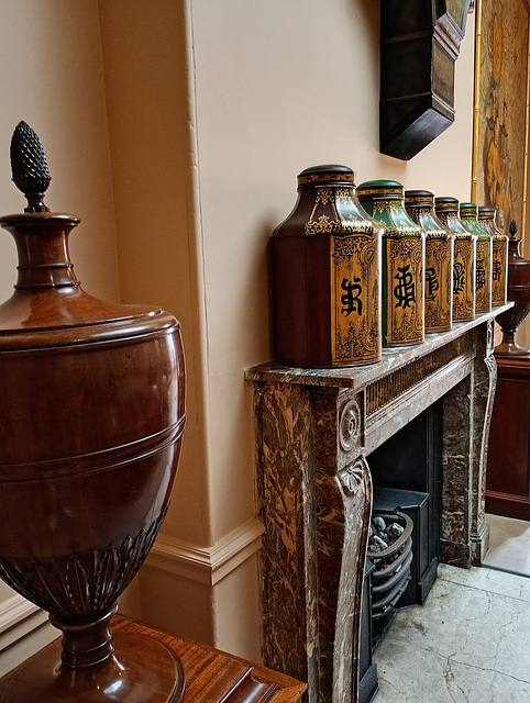 Royal Pavilion, Brighton - Fireplace 2