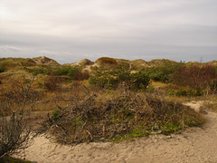 Plage suédoise en pleine nature sauvage