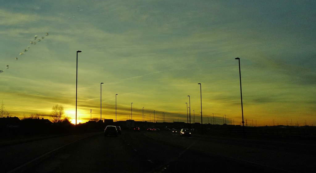 Driving Home