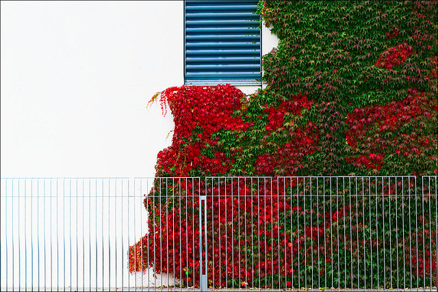 Herbst im Kanzleramt